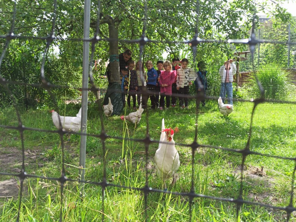 Oddział Dziecięcy odwiedza małe gospodarstwo.